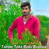 About Tapori Tera Bhav Bhadga Song